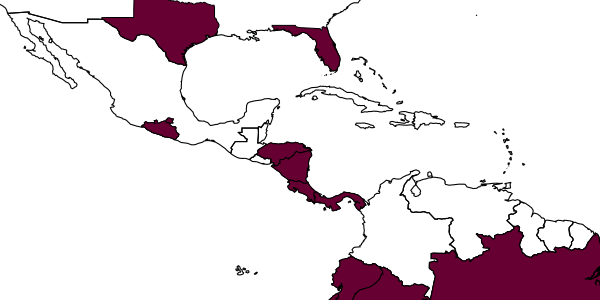 map of Laelius muesebecki     (Evans, 1965)